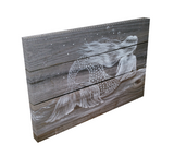 16x24 Reclining Mermaid on old Beach House fence pickets canvas print