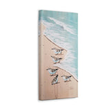 Running Sanderlings white aqua mirror