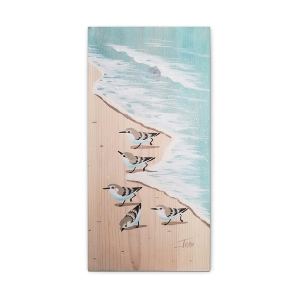 Running Sanderlings white aqua mirror